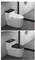 Sanitary Fixtures Water-Efficient Comfortable Seating Ceramica One Piece Toilets