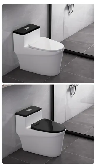 Sanitary Fixtures Water-Efficient Comfortable Seating Ceramica One Piece Toilets