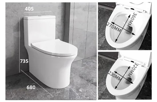 Toilet Bathroom Ceramic One-Piece Toilet