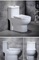 Popular Classic Design Siphon Peeping Chinese Toilet One Piece Water Closet