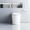 Sanitary Ware One Piece Ceramic Floor Mounted Smart Toilet