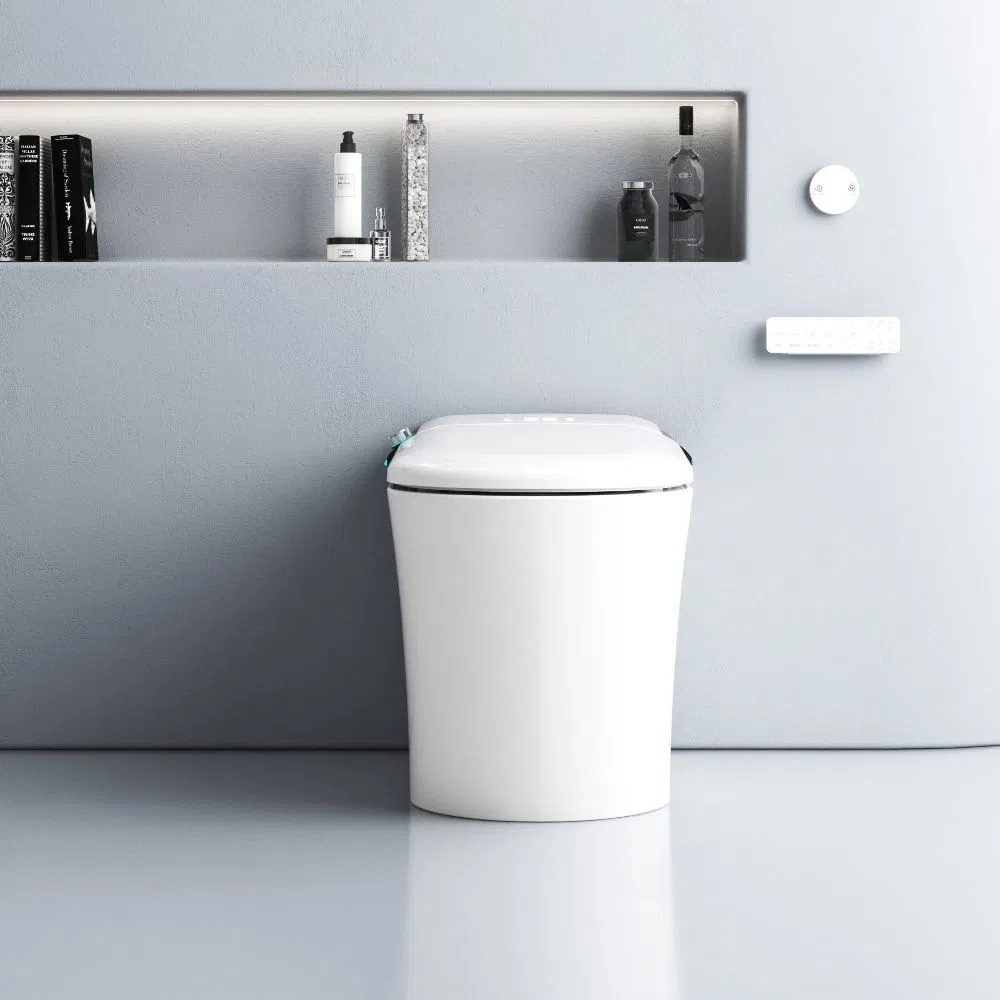 Sanitary Ware One Piece Ceramic Floor Mounted Smart Toilet