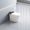 Sanitary Ware Automatic Smart Water Closet Toilet