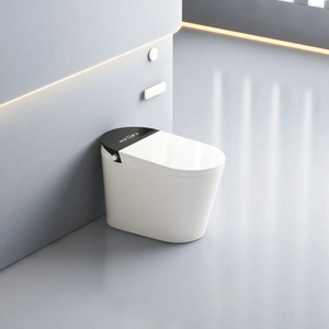 Sanitary Ware Automatic Smart Water Closet Toilet