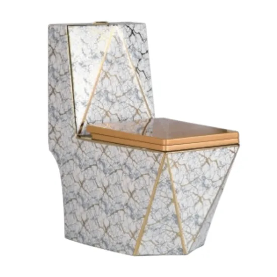 Toilet Different Match Washdown Developing One Piece Toilet Set