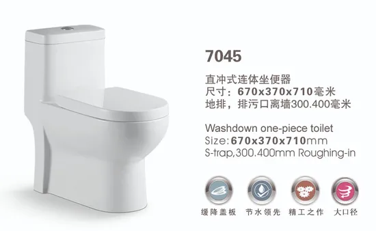 Cheap Personalized Toilet Bowl Hand Flush White Matte Water Closet White