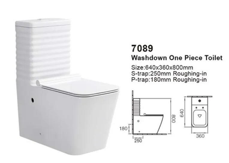 Modern High Standards Toilet Cheap Sanitary Ware Ceramic