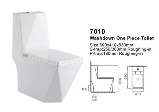 Round Shape S Trap 250mm Washdown One Piece Toilet Bowl Floor Mounted