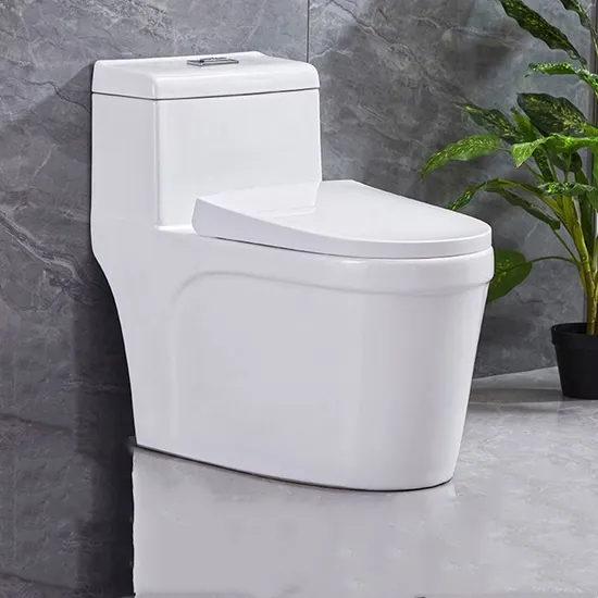 Lavatory Vitreous China High Efficiency One-Piece Elongated Siphonic Toilet with Dual-Flush