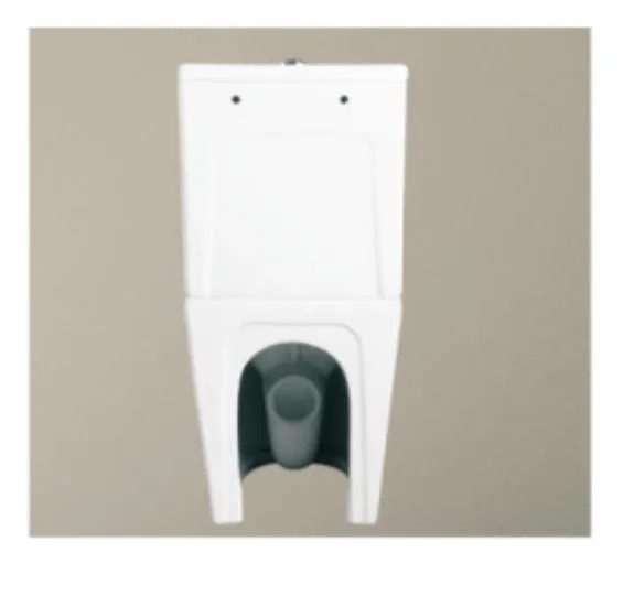 Sanitary Ware Wall Faced Watermark Toilet with Cover Seat
