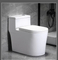 Chinese Modern Cheap Price Hotel White One Piece Siphonic Toilet Bowl