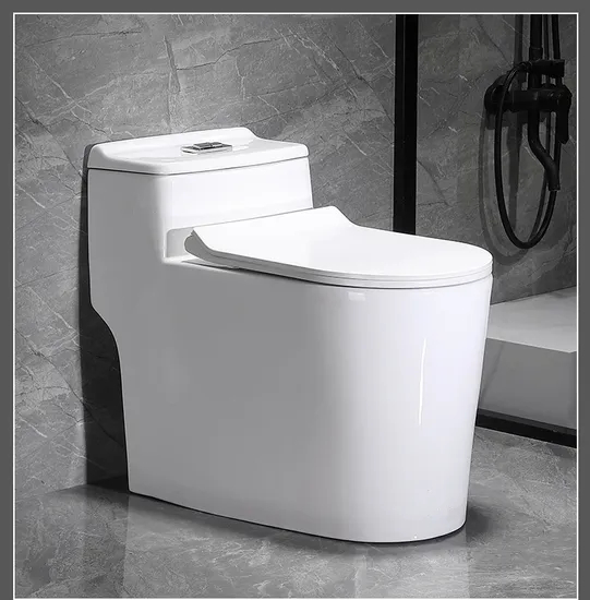 China Manufacturer Sanitary Ware One Piece Toilet Ceramic Water Closet