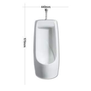 Stand-up Ceramic Urinal, Public Urinal, Washdown Type