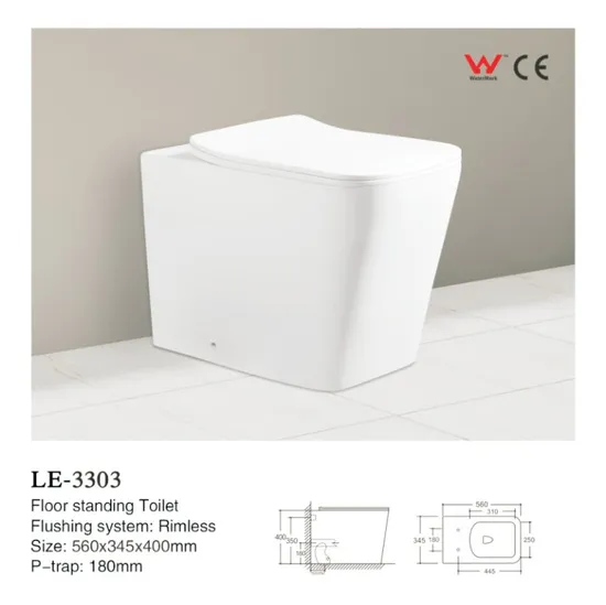 Bathroom Toilet Wall Hung Ceramic One Piece Dual Flush Sanitary Ware