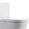 Modern Design Siphonic Bathroom Sanitaryware Wc White One-Piece Toilet