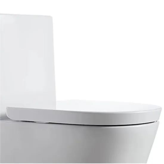 Modern Design Siphonic Bathroom Sanitaryware Wc White One-Piece Toilet
