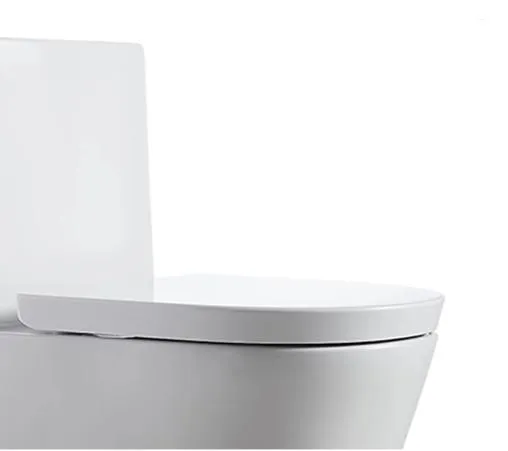 Chaozhou Factory Siphonic S Trap One Piece Toilet with Soft Seat Cover