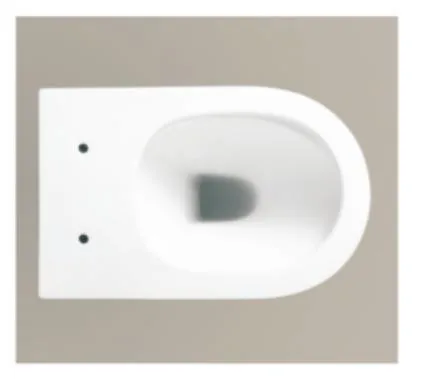 Hot Selling Wall Hung Toilet with Standard Package