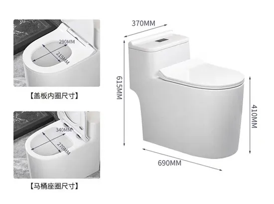 Water Closet Dual Flush 1 Piece Toilet Sanitary Ware Bathroom Toilet