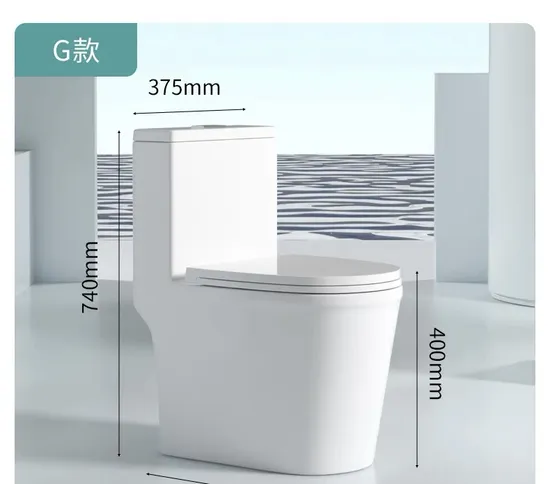 Sanitaryware Ceramic Bathroom Set Standing Water Closet