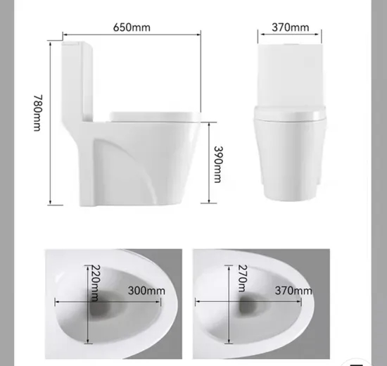 Popular Style Floor Mounted Bathroom Dual Flush Siphonic One Piece Toilet