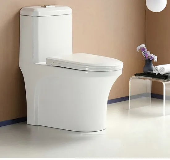 China Manufacturer Bathroom Sanitary Ware Color Print One Piece Toilet