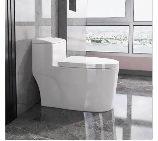 High Standards Toilet Cheap Siphonic S-Trap One Piece Toilet