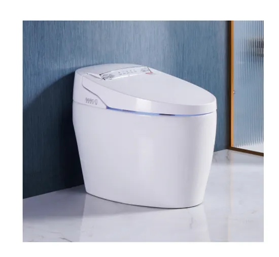 Modern Wc Toilet Set Auto Flush Smart Toilet Bowl for Bathroom