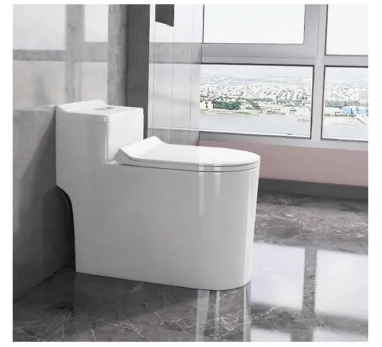 Toilet Bathroom Ceramic One-Piece Toilet