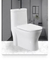 Bathroom Ceramic One-Piece Toilet Bowl