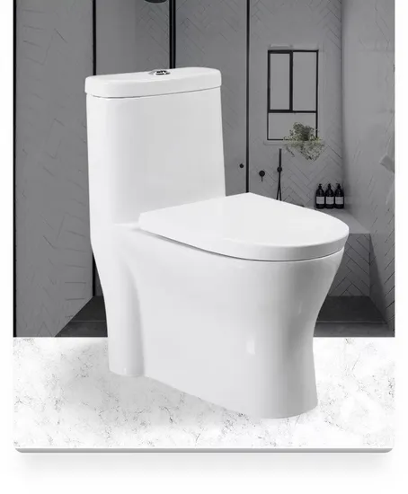 Bathroom Ceramic One-Piece Toilet Bowl