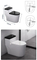 Chaozhou Manufacturer Bathroom Sanitary Ware White Glazed One Piece Toilet