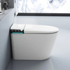 Sanitary Ware One Piece Ceramic Floor Mounted Smart Toilet