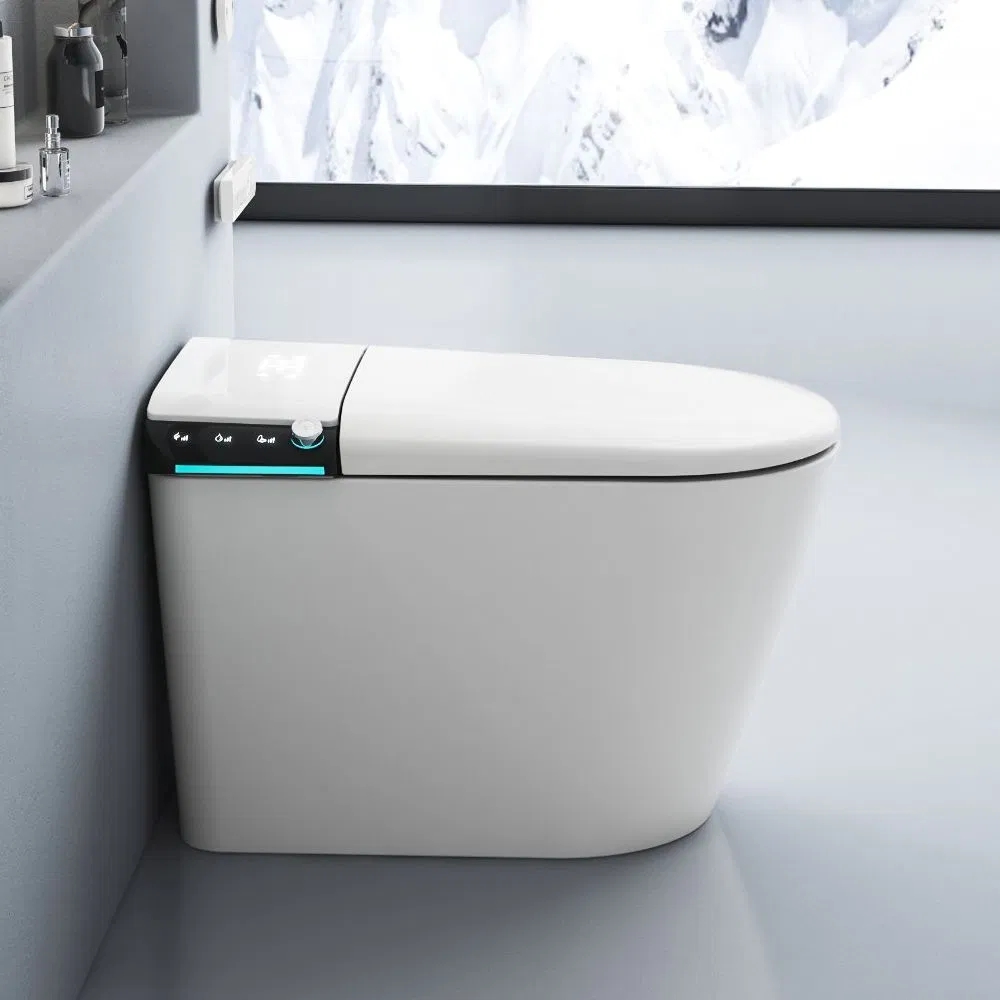 Sanitary Ware One Piece Ceramic Floor Mounted Smart Toilet