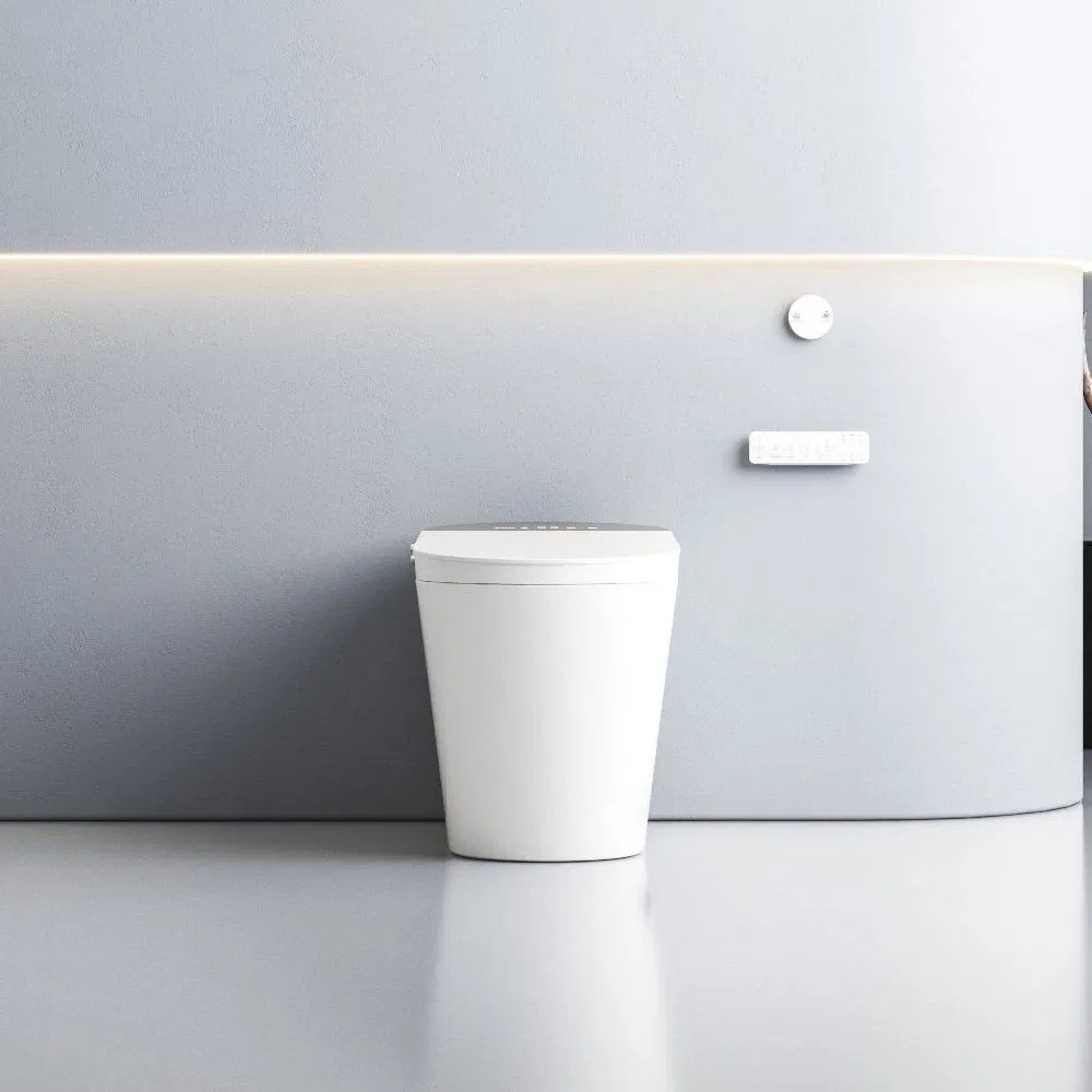Sanitary Ware Automatic Smart Water Closet Toilet