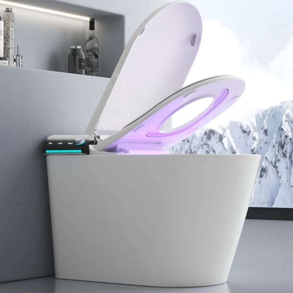 Sanitary Ware One Piece Ceramic Smart Toilet