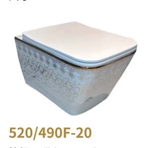 Wall Mounted Toilet with Seat Cover