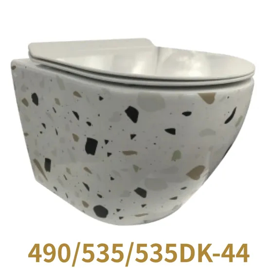 Hot Sale High Quality Bidet Wall Hung Toilets