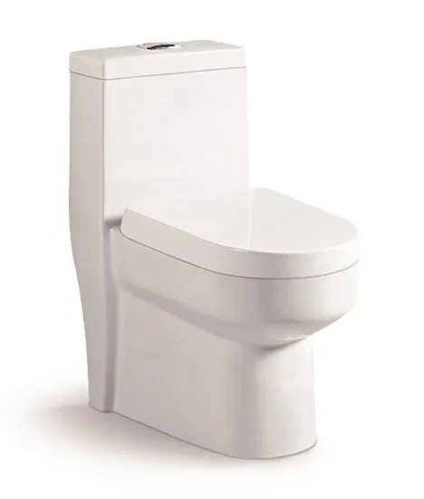 Sanitary Ware Bathroom Matte Water Closet Poecelain Matte One Piece Toilet