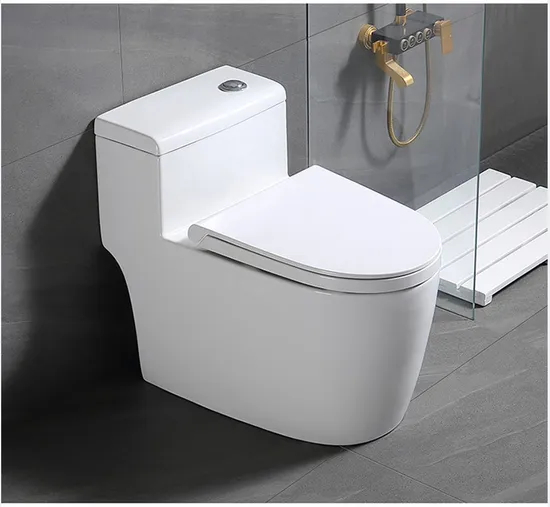 Siphonic Flush Wc Water Ceramic Bathroom One Piece Toilet