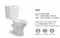 Competitive Price Two Pieces Ceramic Twyford Toilet for Africa and MID East