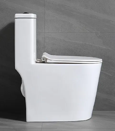Bathroom Sanitary Ceramica One Piece Toilets