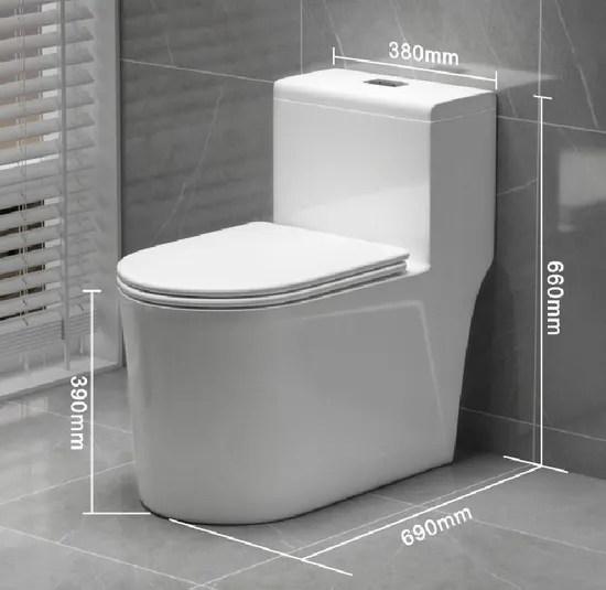 White Dual Flushone Piece Toilet Washdown P Trap Water Closet