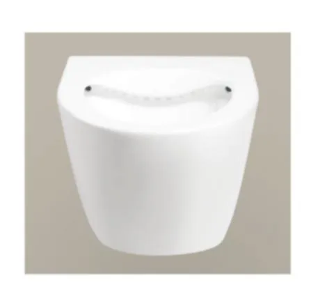 Sanitary Ware Bathroom Water Closet Ceramic Wc Wall Hung Toilet From Chaozhou