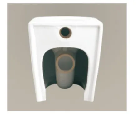 Hot Selling Wall Hung Toilet with Standard Package