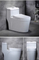 Bathroom Sanitaryware Siphonic 1 Piece Wc Toilet Water Closet