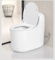 Nice Design Sanitary Ware Ceramic One Piece Toilet with Colored Line