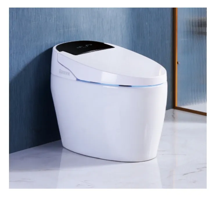 Flushing Oval Shape Porcelain Ceramic Bathroom One Piece Wc Toilet