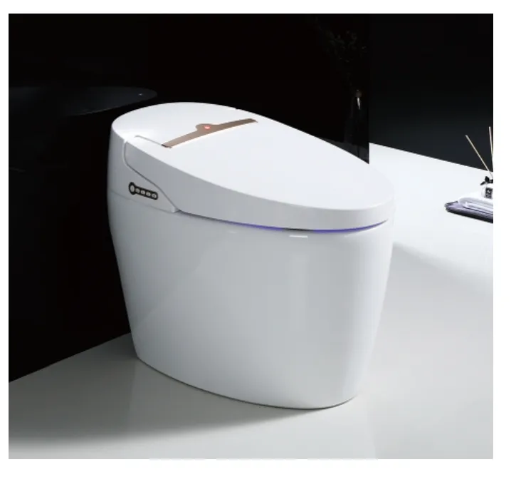 Flushing Oval Shape Porcelain Ceramic Bathroom One Piece Wc Toilet
