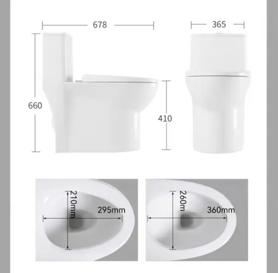 Popular Style Floor Mounted Bathroom Dual Flush Siphonic One Piece Toilet